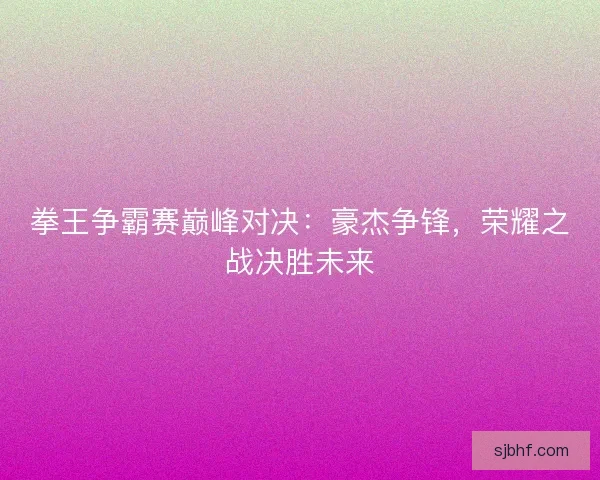 拳王争霸赛巅峰对决：豪杰争锋，荣耀之战决胜未来